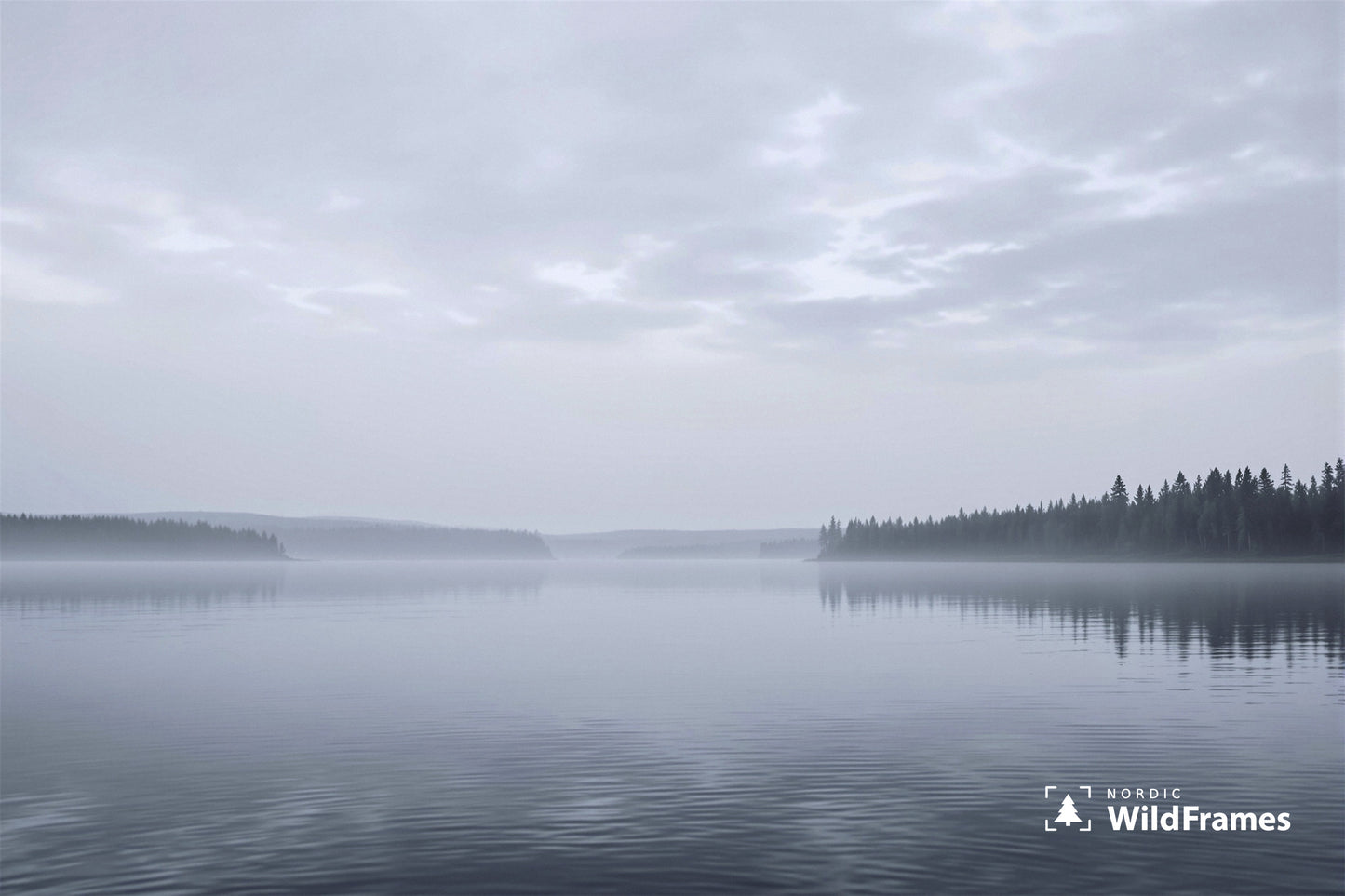 Calm misty lake at dawn with forest shorelines and soft grey morning sky, Finland