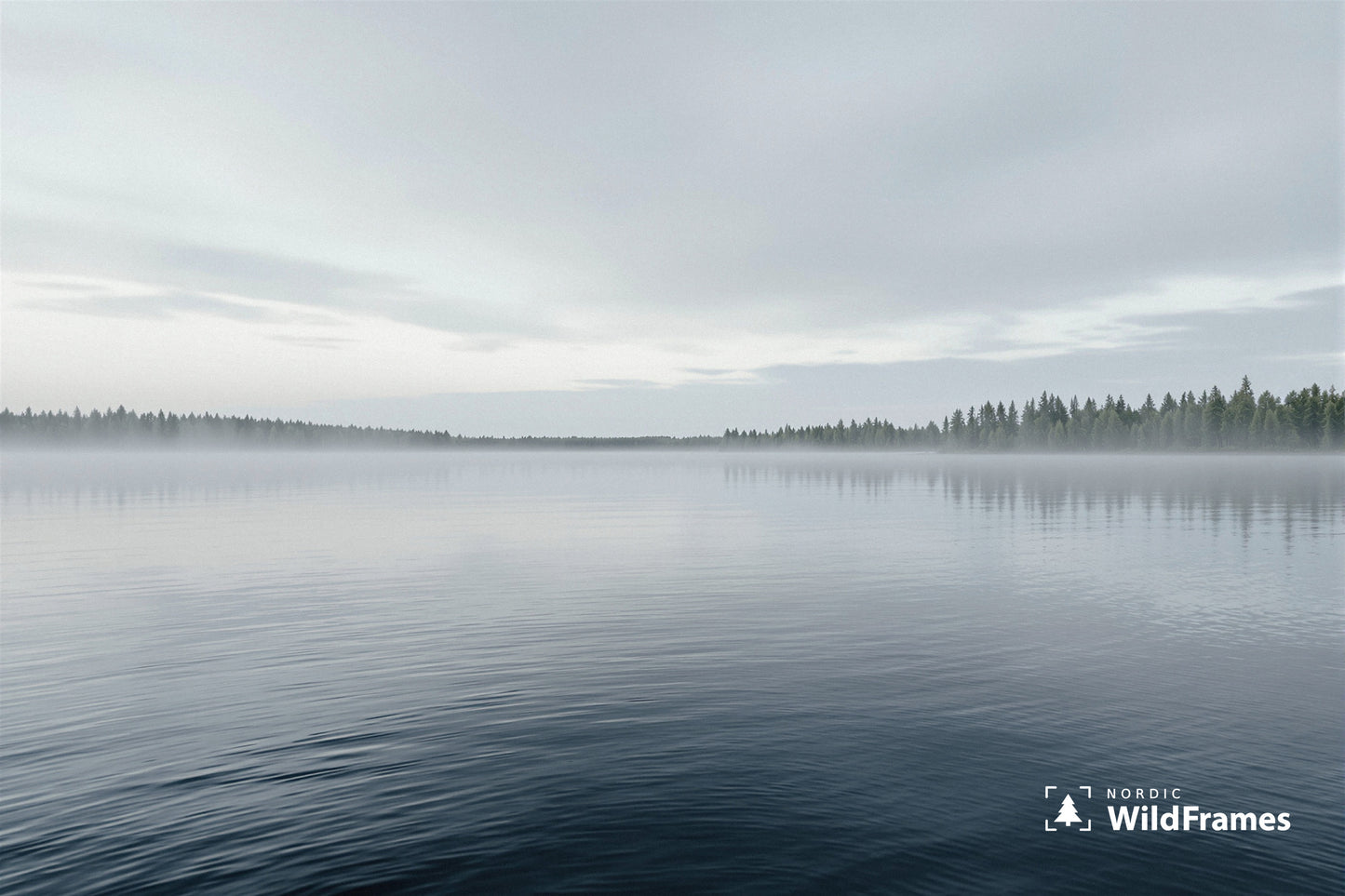Open calm lake surface at dawn with morning mist and forest treeline, Finland