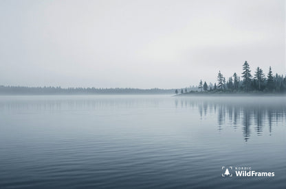 Foggy lake at dawn with silhouetted pines reflected on still water, Finland