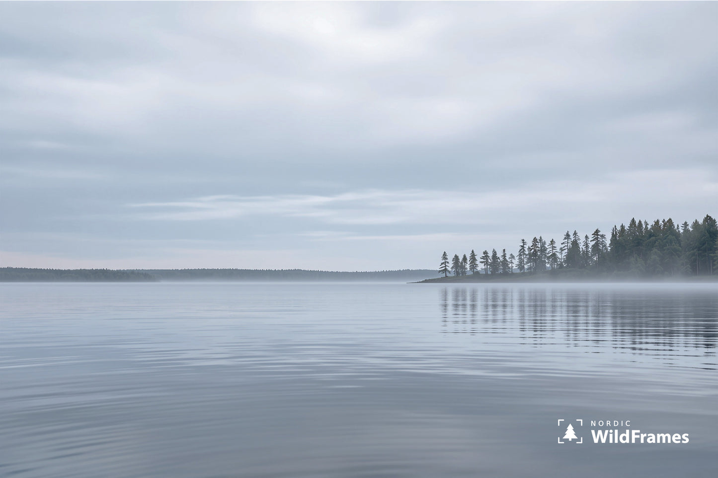 Still grey lake with a pine-covered point and morning mist under an overcast sky, Finland