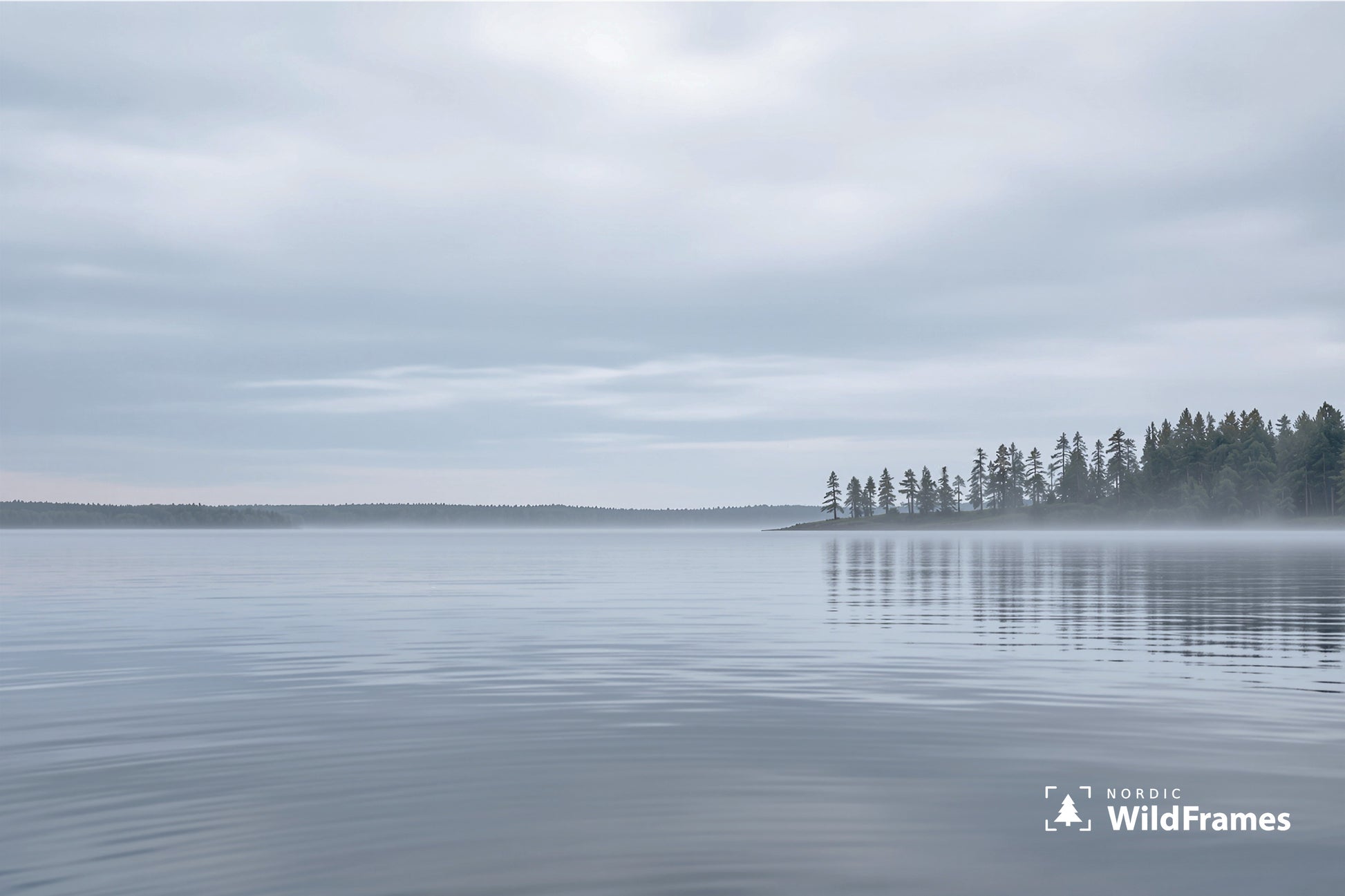 Still grey lake with a pine-covered point and morning mist under an overcast sky, Finland