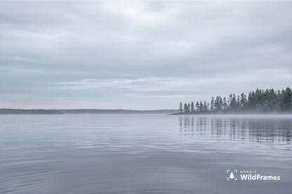 Still grey lake with a pine-covered point and morning mist under an overcast sky, Finland