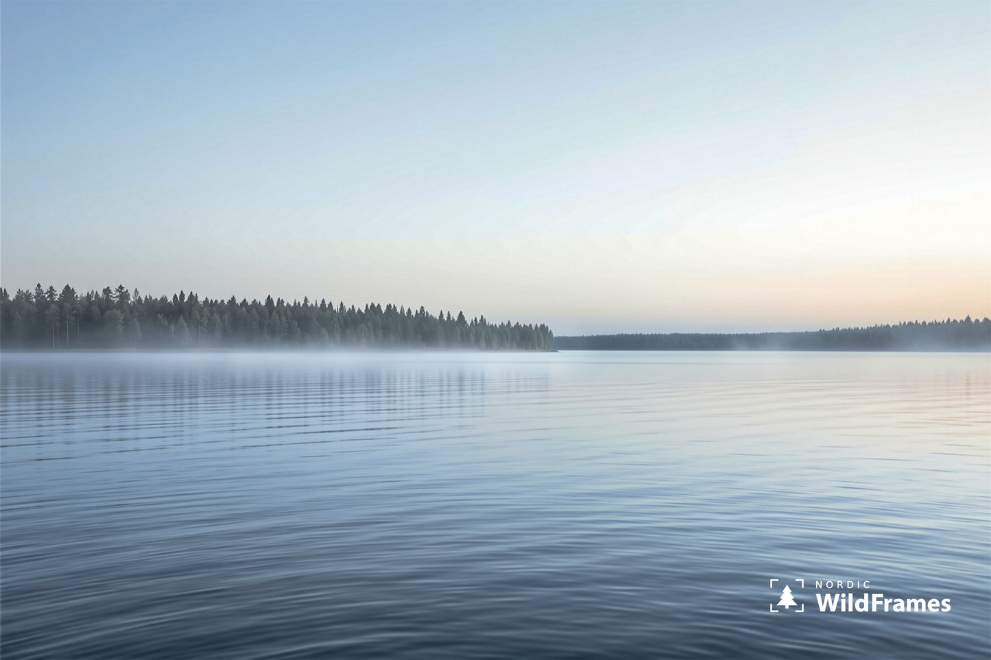 Calm rippled lake with mist along a forest shoreline under a clear pale sky, Finland