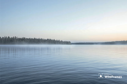 Calm rippled lake with mist along a forest shoreline under a clear pale sky, Finland