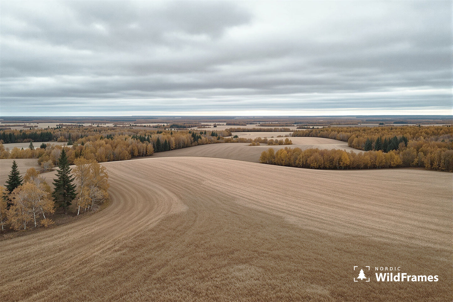 Elevated view of rolling harvested fields and autumn forest patches under a grey overcast sky, Finland