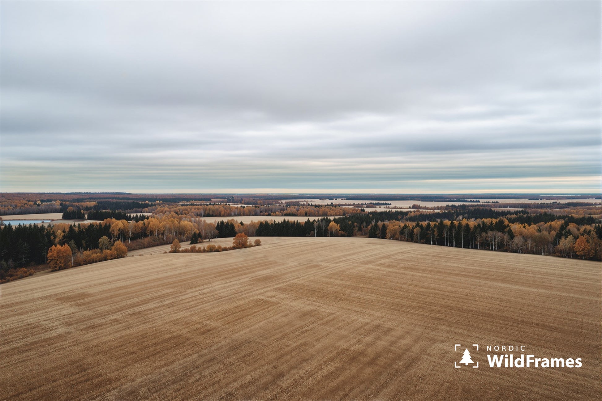Wide open cultivated field with autumn woodland and a small lake in rolling countryside, Finland