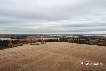 Wide open cultivated field with autumn woodland and a small lake in rolling countryside, Finland