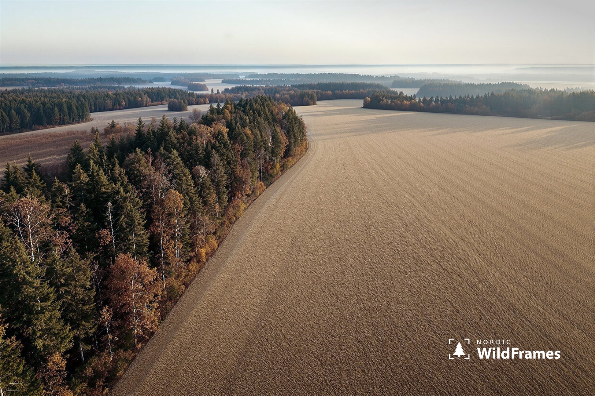 Aerial view of a ploughed field and forest edge with morning mist over distant countryside, Finland