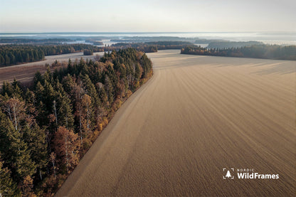 Aerial view of a ploughed field and forest edge with morning mist over distant countryside, Finland