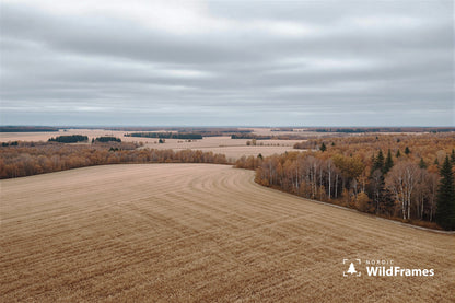 Golden stubble field with birch groves and a patchwork of open fields under a soft overcast sky, Finland