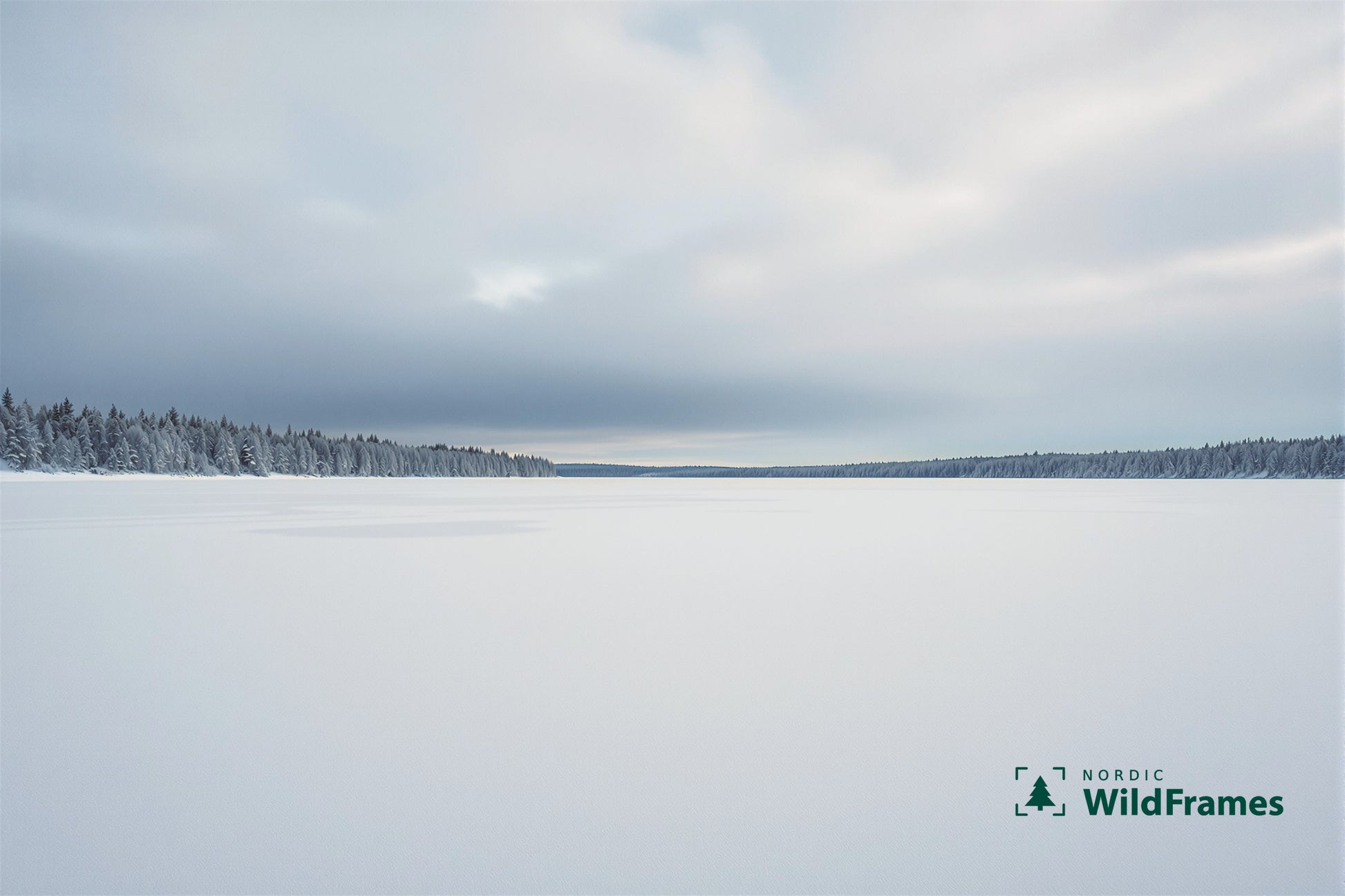 Wide snow-covered frozen lake with frosted forest shorelines under soft grey winter sky, Finland