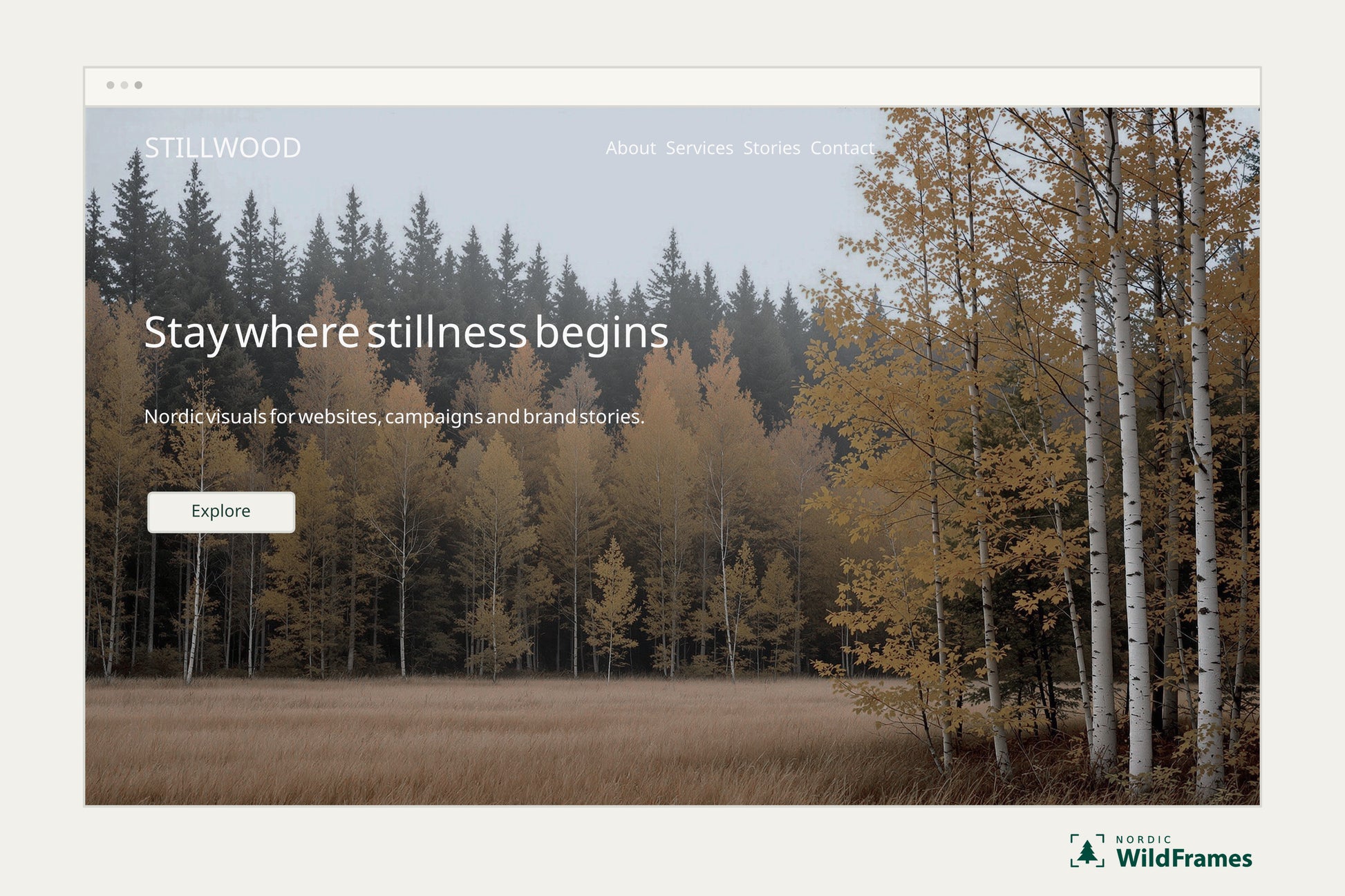 Example of a landscape image used as a website hero section